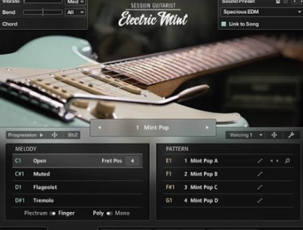 Native Instruments Electric Mint